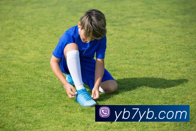 yabo亚博服务体系